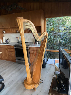 Harp Services Laguna 