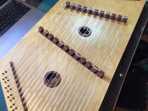 Instrument Restringing Services Laguna 
